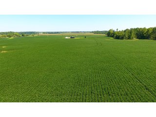 Property photo 26 - LAND AUCTION - 1,193+/- ACRES IN 14 TRACTS IN PIKE & GIBSON COUNTY, INDIANA